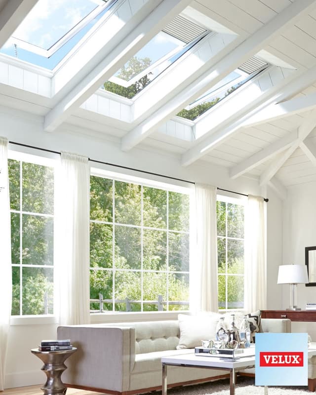 Velux Skylights